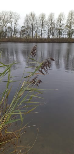Dörplinger Moor und Eider ab Pahlen