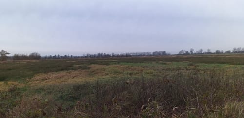 Dörplinger Moor und Eider ab Pahlen