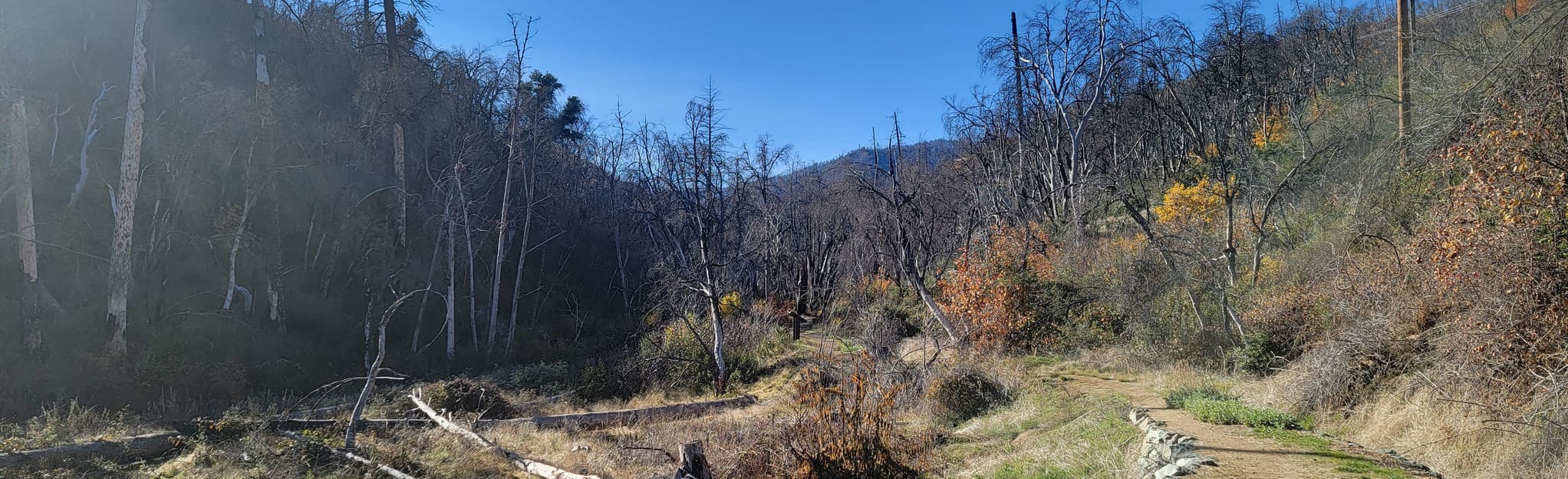 Crystal Creek Water Ditch Trail 32 Reviews, Map California AllTrails