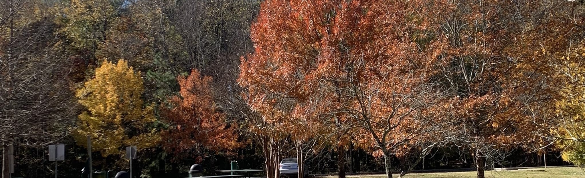 Boorman Trail 250 Reviews, Map Texas AllTrails