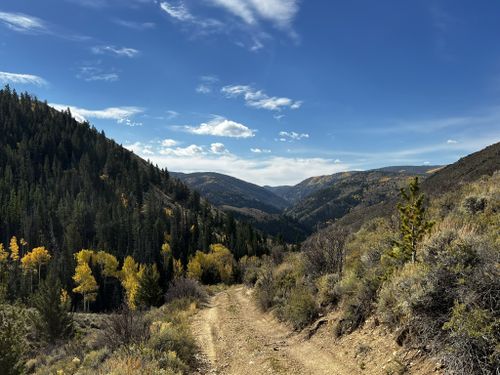 2023 Best Backpacking Trails in Medicine Bow-Routt National Forest ...