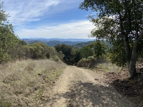 2023 Best 10 Trails And Hikes In Castro Valley Alltrails 2229