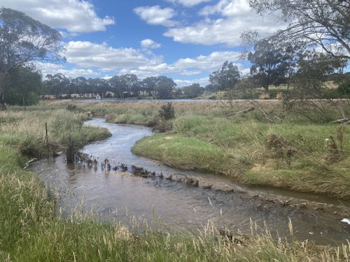 Best 10 Hikes and Trails in Beechworth Historic Park | AllTrails