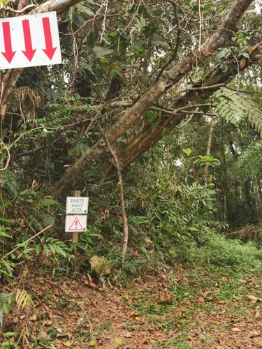 As melhores trilhas em Canhanduba, Santa Catarina (Brasil)