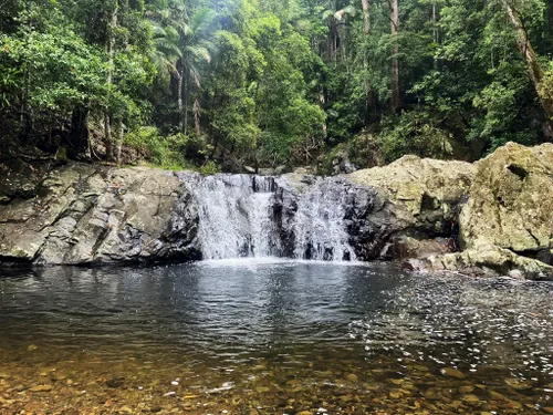 Best Hikes and Trails in Currumbin Valley | AllTrails