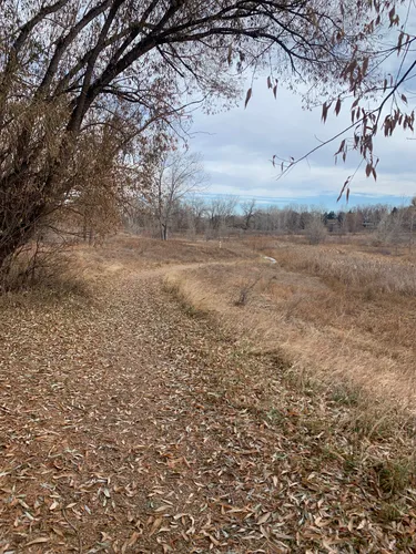 Best Hikes and Trails in Red Fox Meadows Natural Area | AllTrails