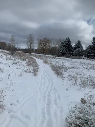 Best Hikes and Trails in Red Fox Meadows Natural Area | AllTrails