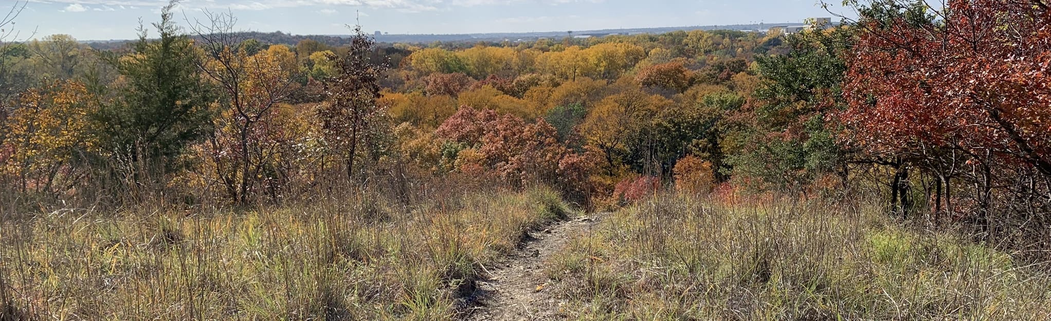 Speakeasy Loop 1,244 Reviews, Map Texas AllTrails