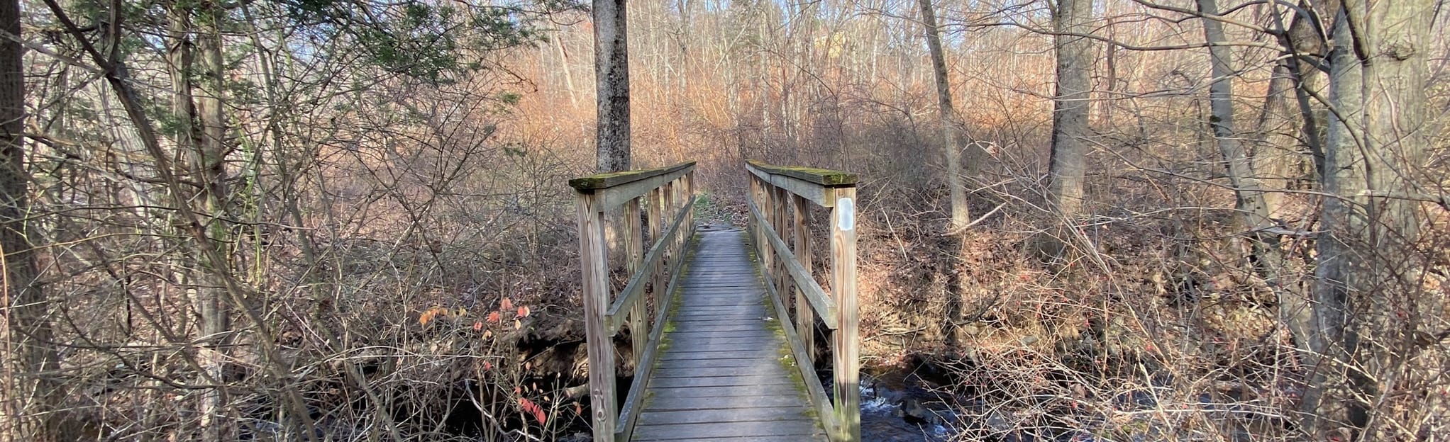 Whitaker Woods to McCann Family Farm Loop 491 Reviews, Map