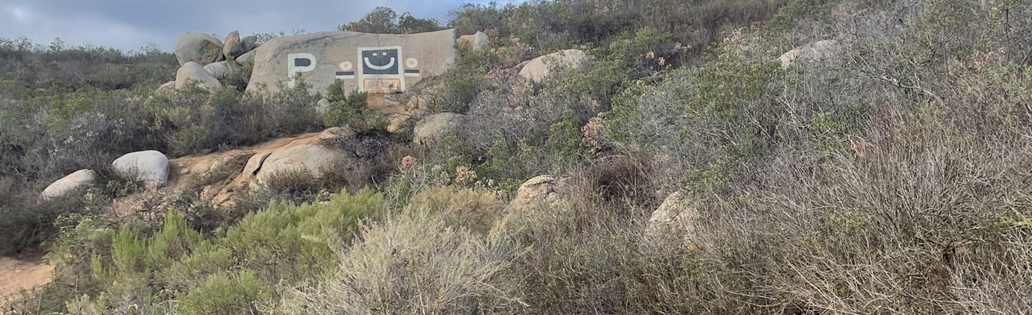 Ted Williams Loop: 109 Reviews, Map - California | AllTrails