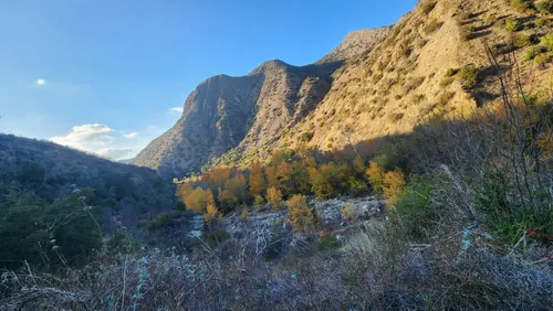 Best hikes los 2025 padres national forest