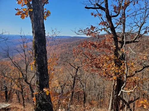 10 Best Backpacking Trails in Ozark-St. Francis National Forest | AllTrails