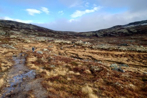 Best Hikes and Trails in Forollhogna National Park | AllTrails