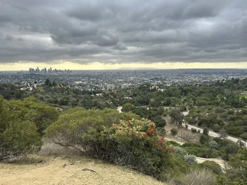 Trails in Griffith Park, Los Angeles, California, United States 54673533 | AllTrails.com