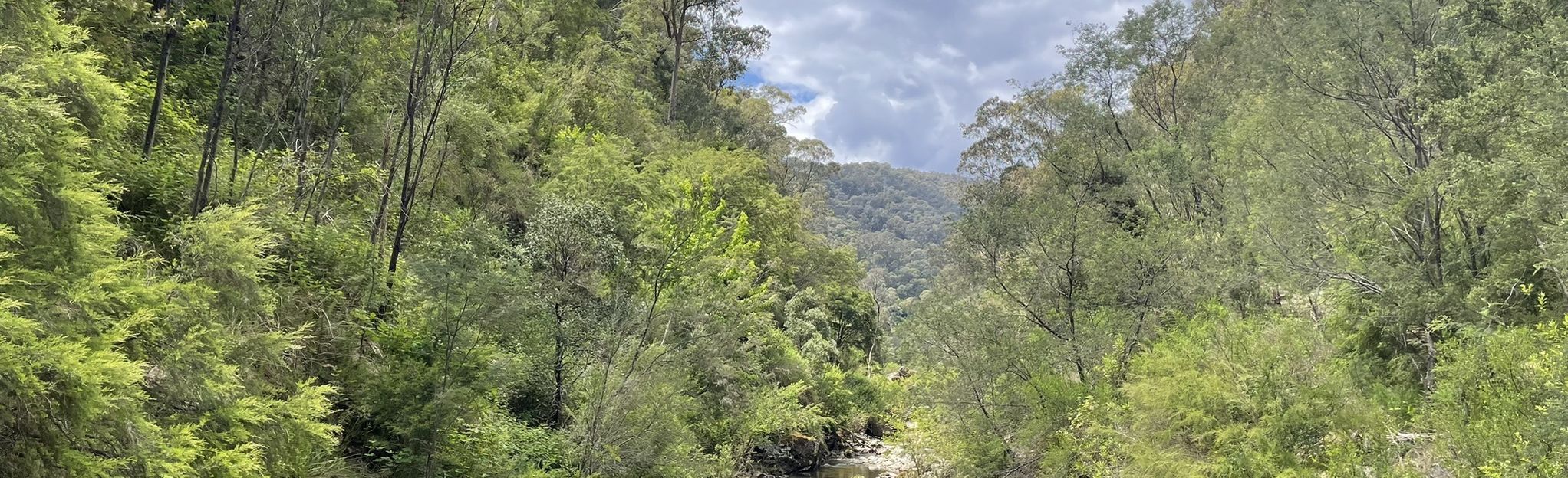 Mount Beauty Gorge Walk: 242 Foto's - Victoria, Australië | Wandelen ...