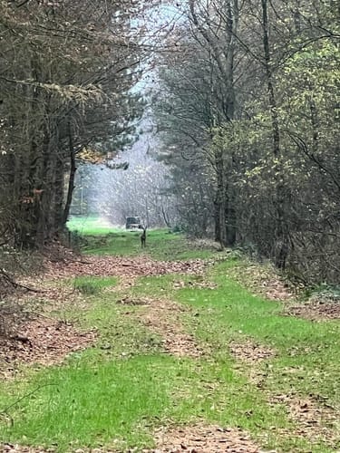 Provinzialmoor und Fullener Wald