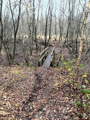 Provinzialmoor und Fullener Wald