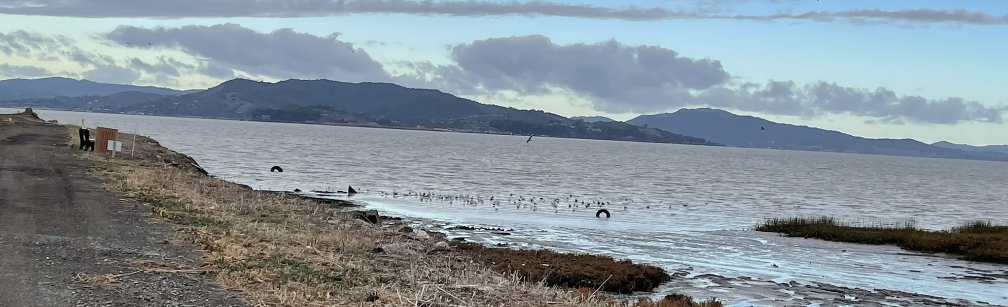 Landfill Loop 36 Reviews, Map California AllTrails