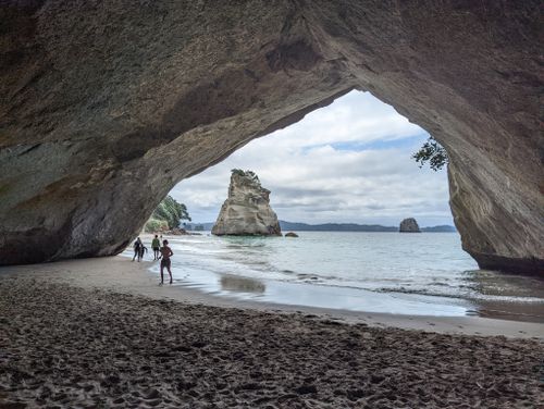 Photos of Cathedral Cove Walk CLOSED Waikato New Zealand