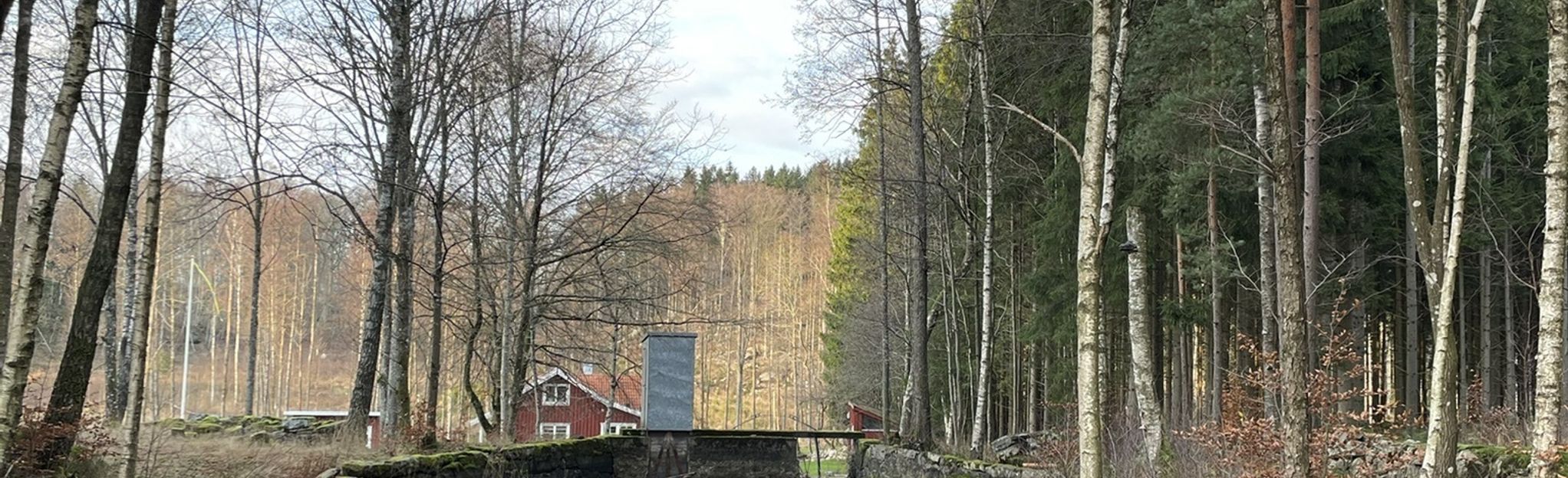 Rydsberg Stamsjön: 13 Foto's - Västra Götalands Län, Zweden | Wandelen ...