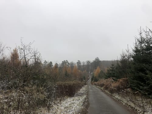 Meller Berge: Diedrichsburg und Ottoshöhe