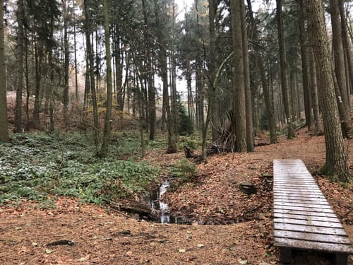 Meller Berge: Diedrichsburg und Ottoshöhe