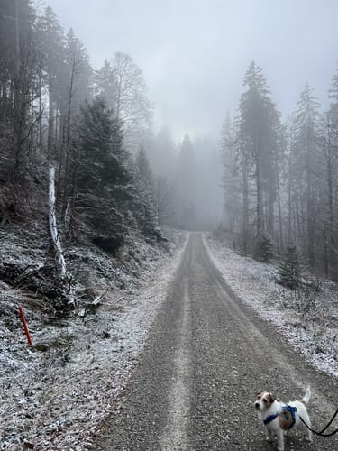 Nordic Walking Fitness Route Buchenberg/Eschach