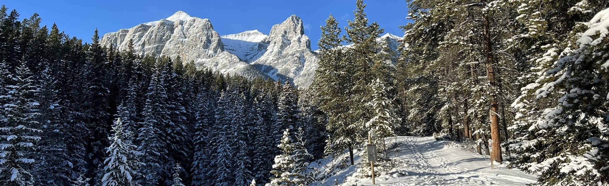 CNC Snowshoe Loop, Alberta, Canada 31 Reviews, Map AllTrails