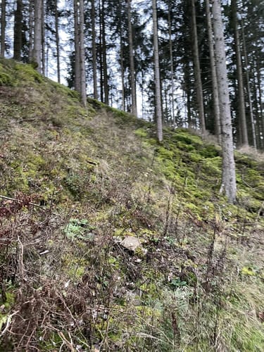 Irsenpfad (Premiumwanderweg)