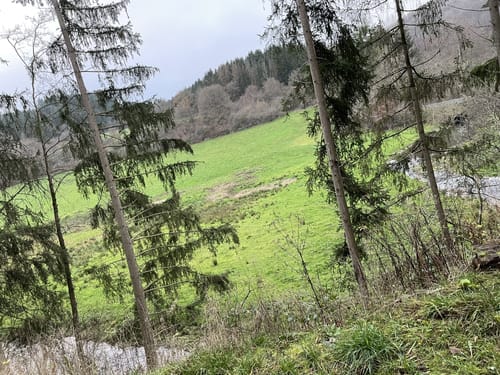 Irsenpfad (Premiumwanderweg)