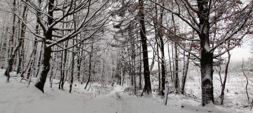 Hohes Gras - Naturpark-Rundweg 10