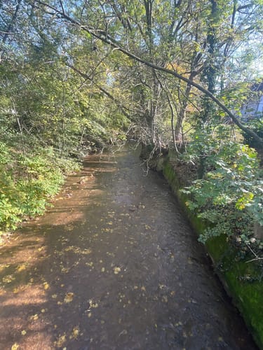 Der Zellertalweg