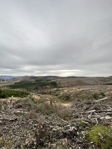 Evenkopf Rundweg A7