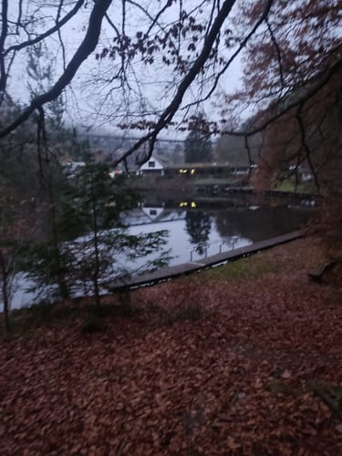 Eiswoog Bockbachtal