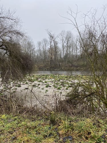 Rundweg durch die Isarauen bei Moosburg