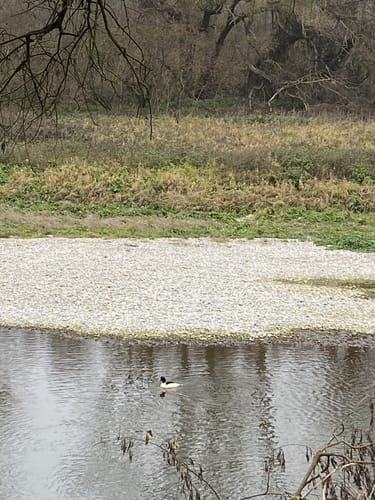 Rundweg durch die Isarauen bei Moosburg