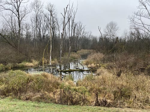 Rundweg durch die Isarauen bei Moosburg