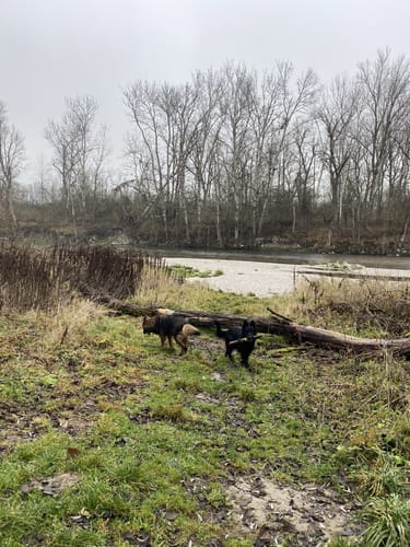 Rundweg durch die Isarauen bei Moosburg