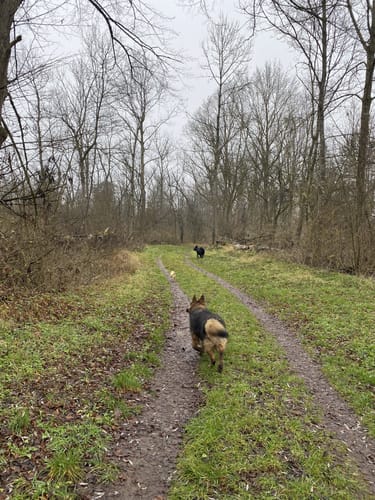 Rundweg durch die Isarauen bei Moosburg