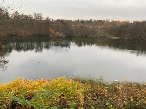 Naturerbefläche Wahner Heide und Königsforst: Route Gut Leidenhausen