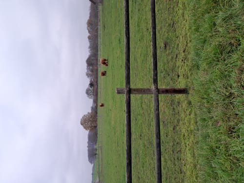 R 05: Durch die Baumberge zwischen Billerbeck und Nottuln