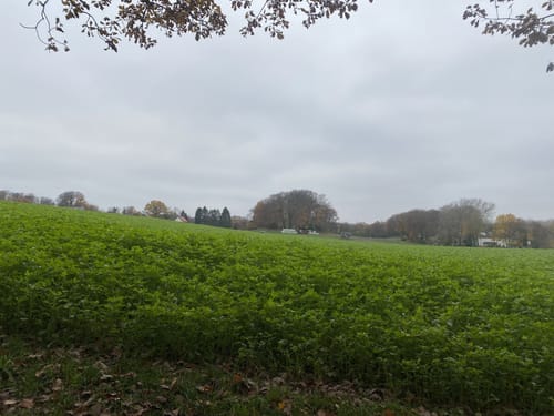 Bergischer Weg Etappe 1: Essen - Velbert