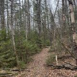 Mousqueton simple - Randonnée, Plein air & Camping  Mount Trail – Mount  Trail (9414-1611 Québec inc)