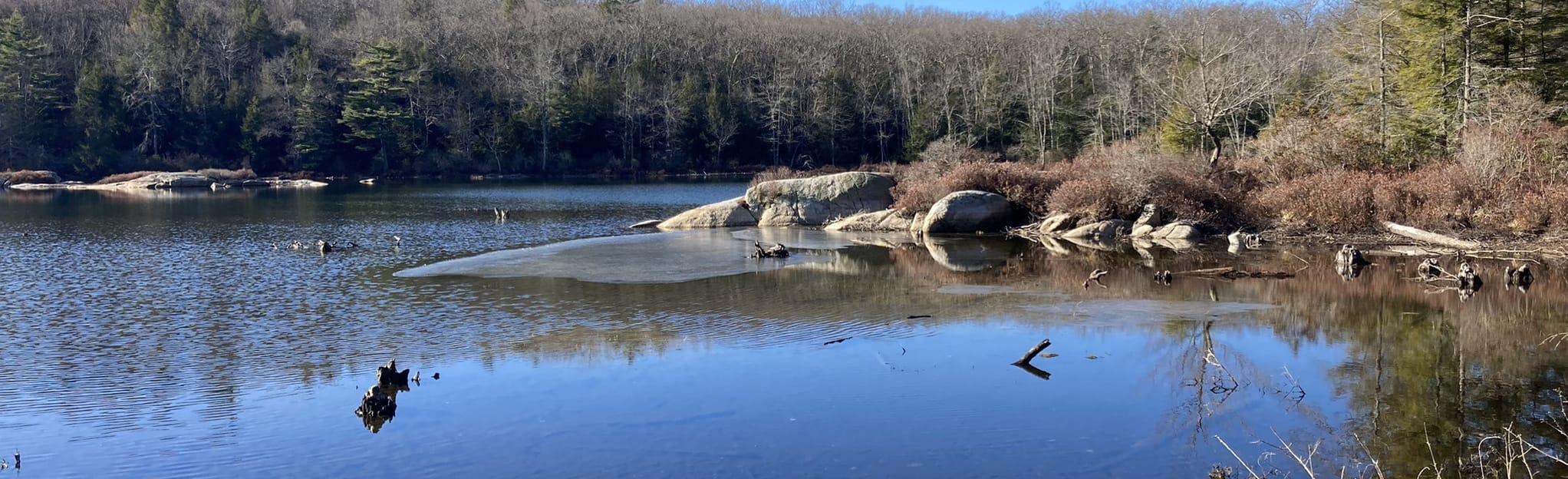 AllTrails | Hubbard Hill Loop: 31 Reviews, Map - New Hampshire