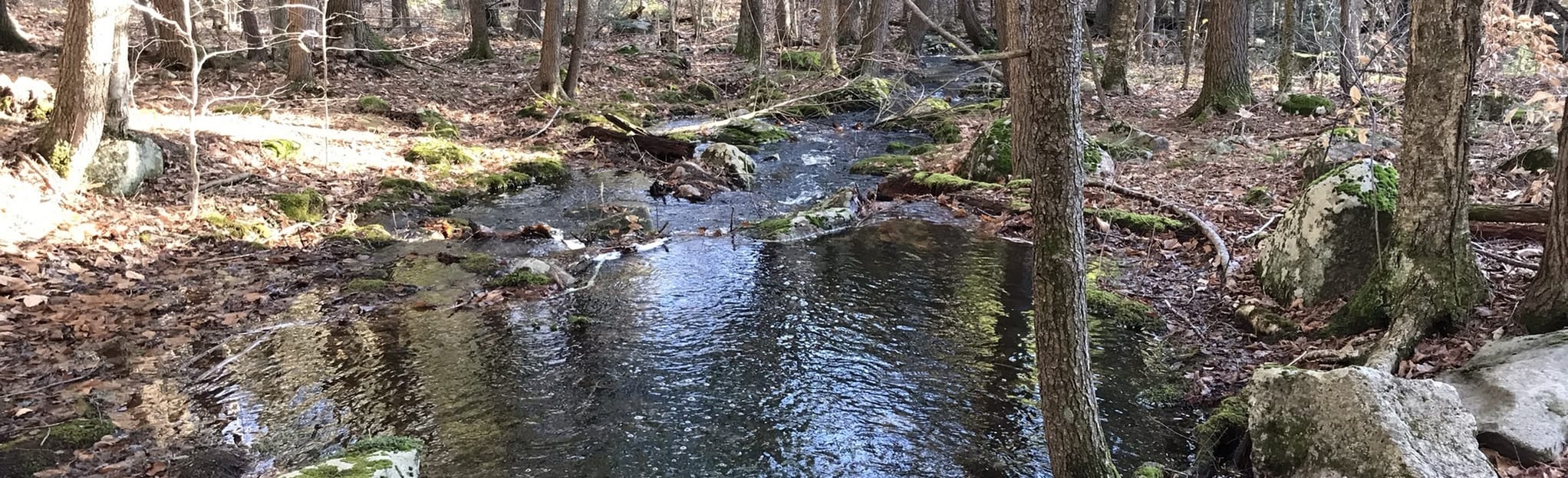 Libby Hill, Virginia, and Roscoe Trail Loop 464 Reviews, Map Maine