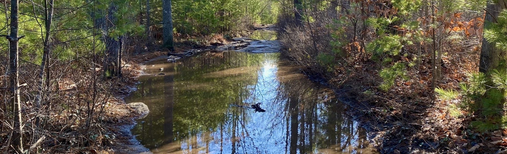 YKWD Orange and Purple Trail, Maine 49 Reviews, Map AllTrails
