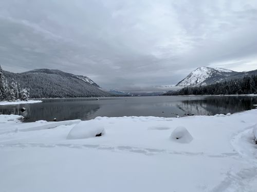 are dogs allowed at lake wenatchee state park