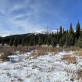 tanglewood bike trails