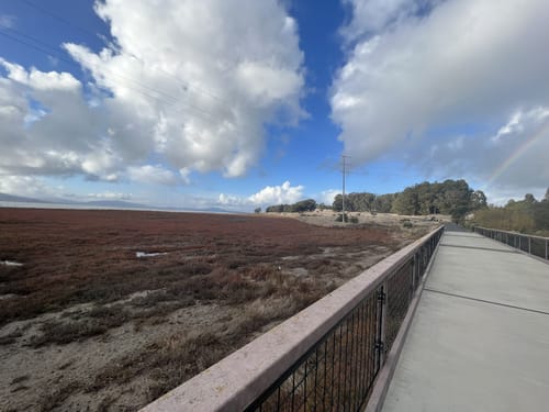 2023 Best Trail Running Trails in Point Pinole Regional Park | AllTrails