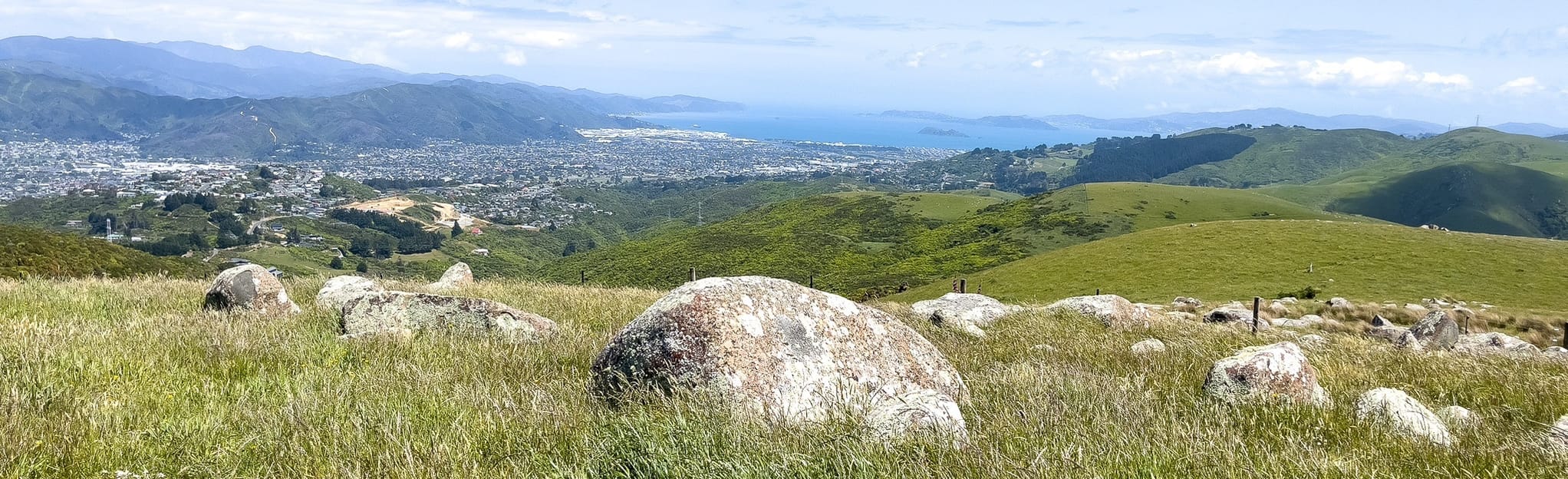 Boulder Hill via Buchanans Road Track, Wellington, New Zealand 11 Reviews, Map AllTrails